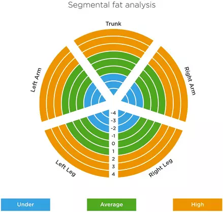 Body fat scales | TANITA Europe (7) Body fat scales | TANITA Europe (7)