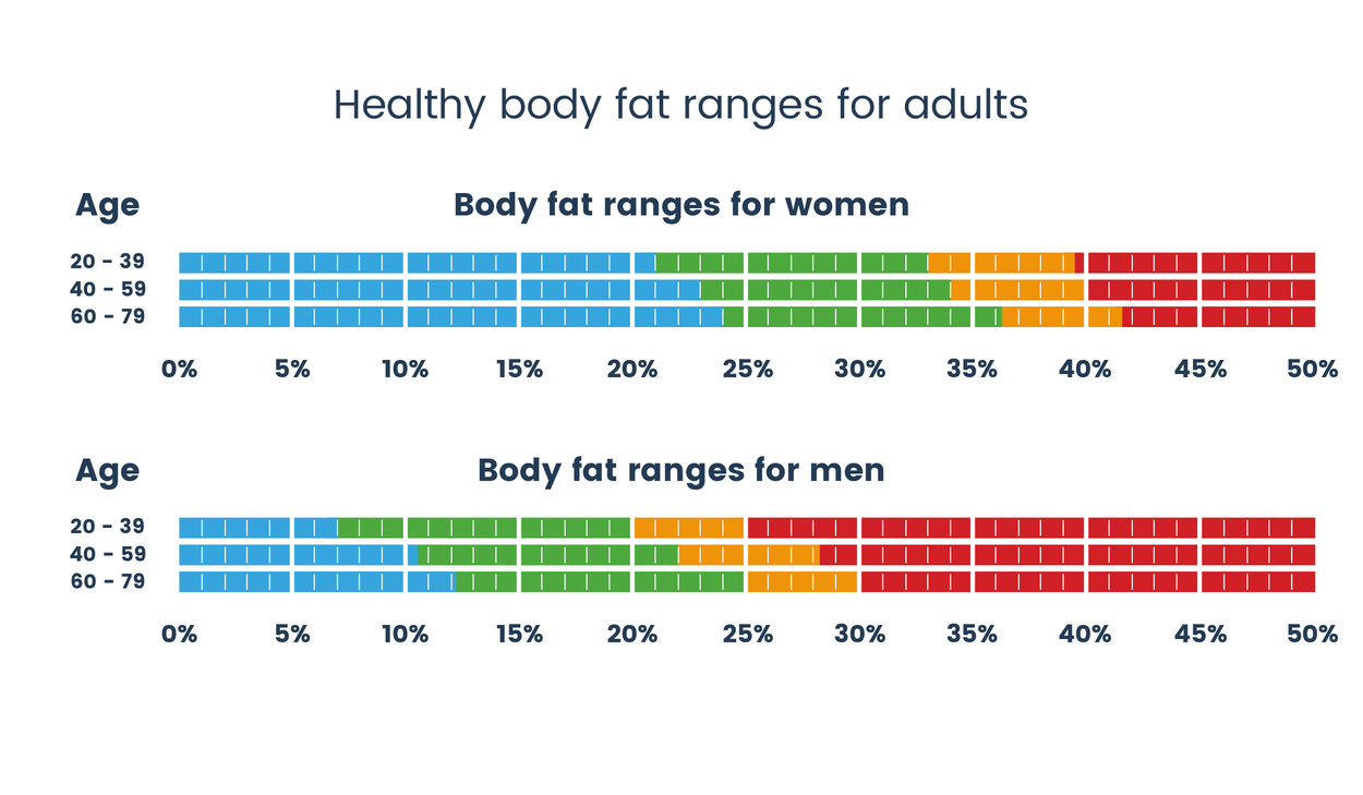 Body Fat Percentage - Are You At A Healthy Weight? | TANITA Europe