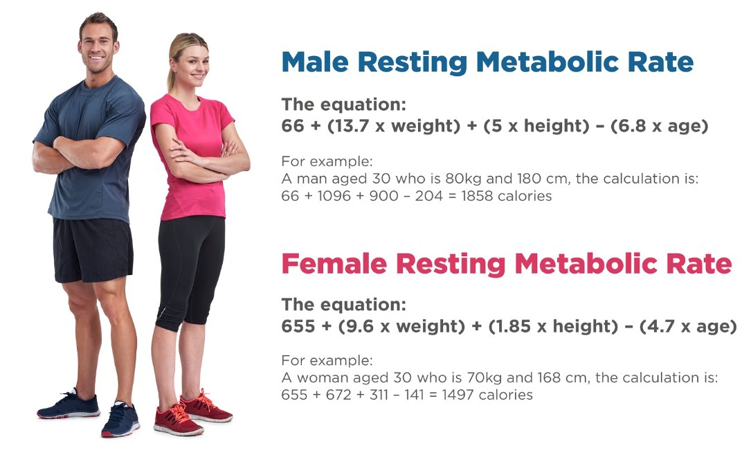 Resting-metabolic-rate-tanita